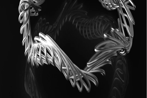 Private Customization